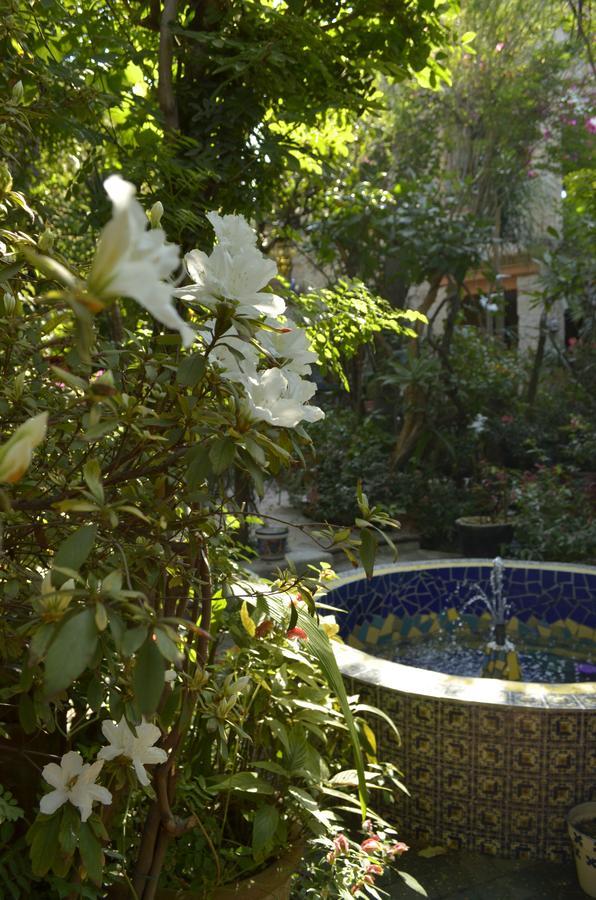 Casa De Las Flores Bed & Breakfast Tlaquepaque Exterior foto